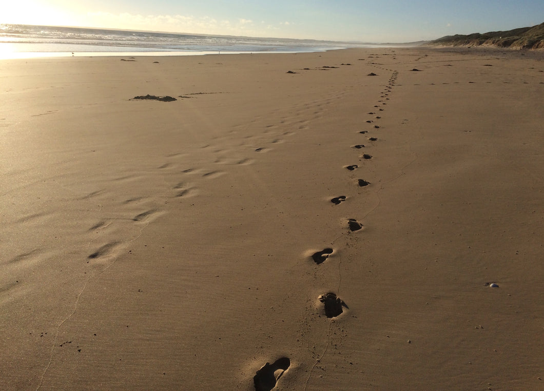 Venus Bay Footprints 2